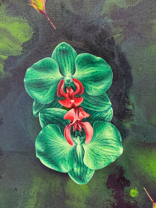 Un secret de narvals