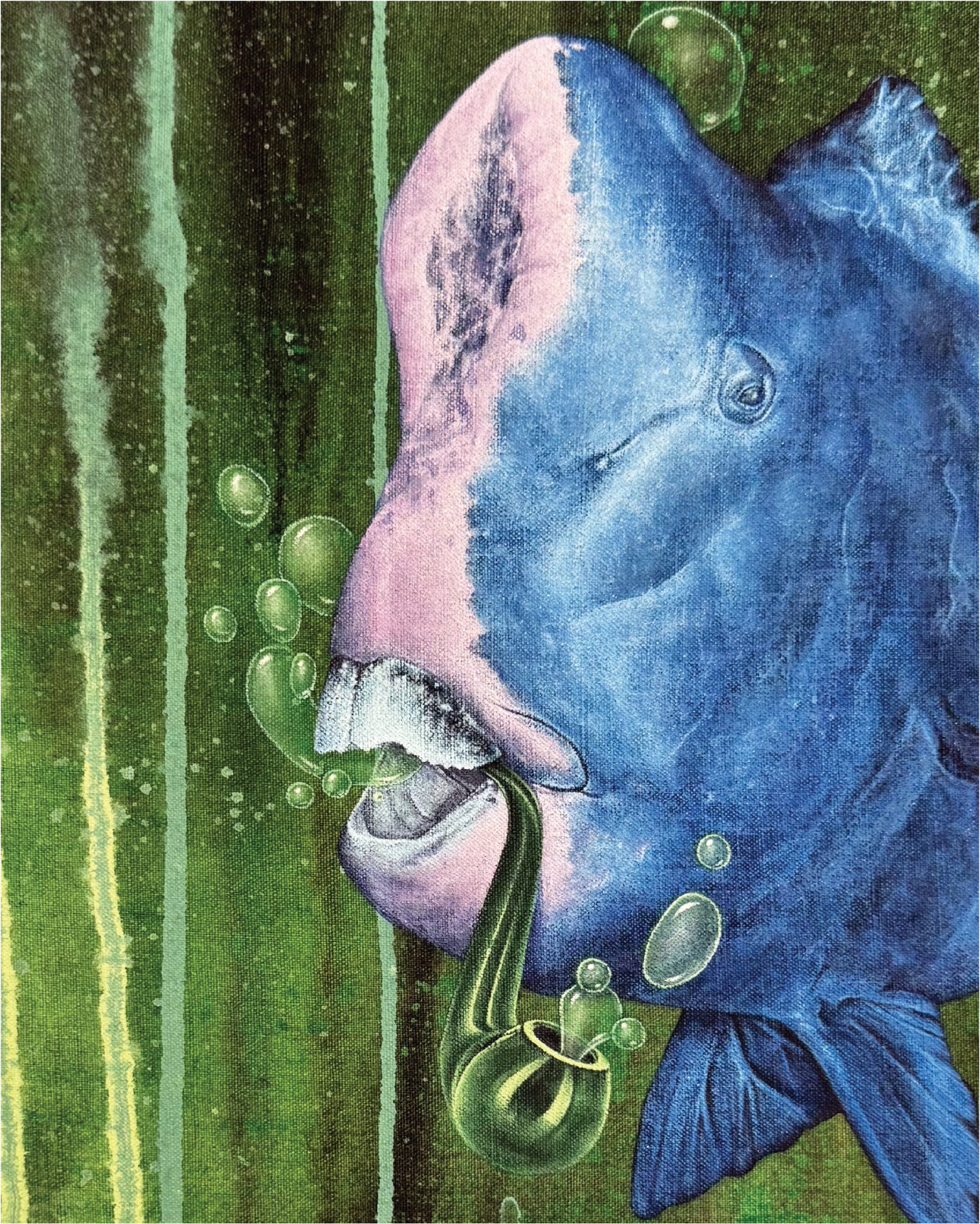 En amont des marguerites