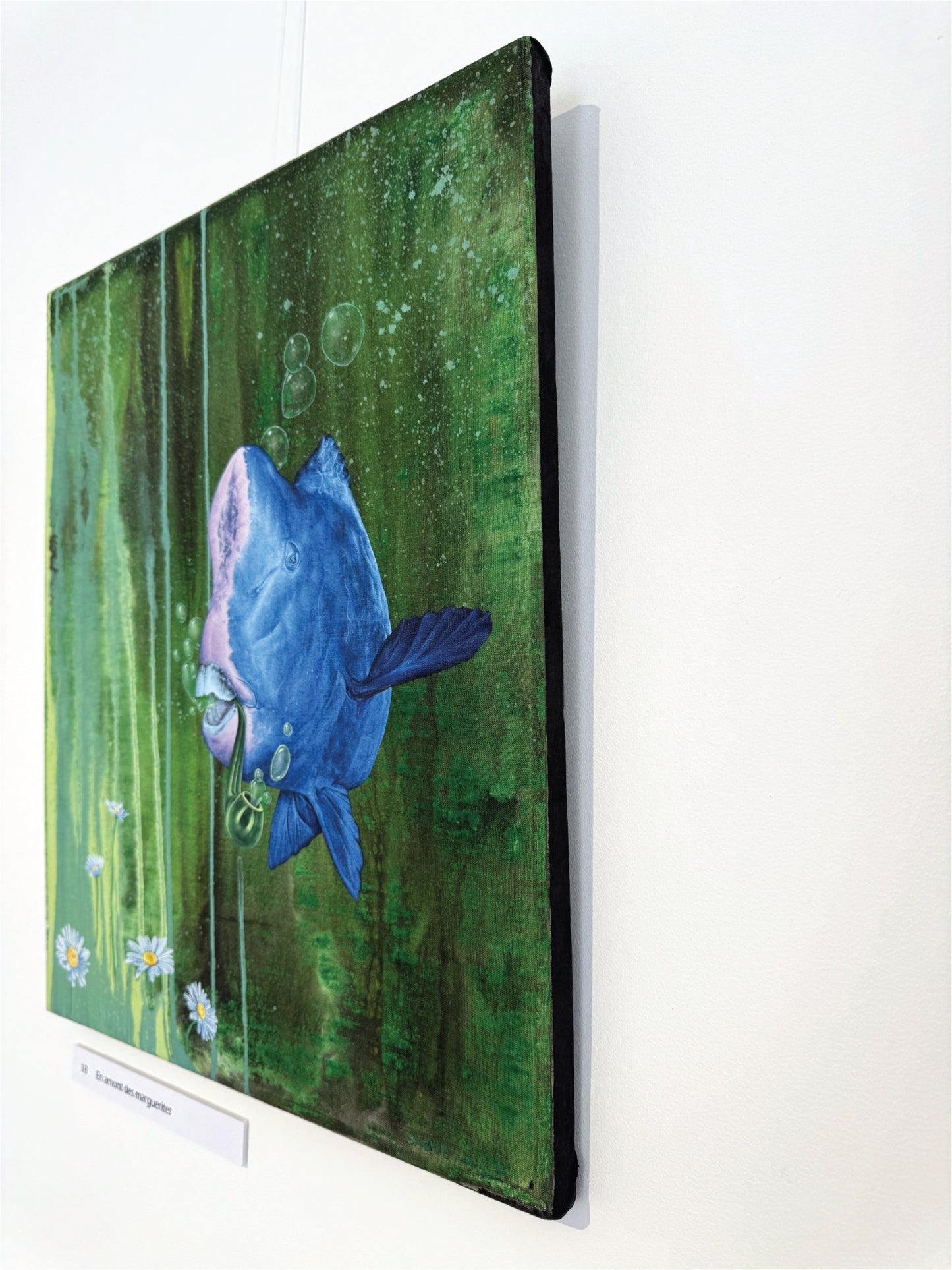 En amont des marguerites