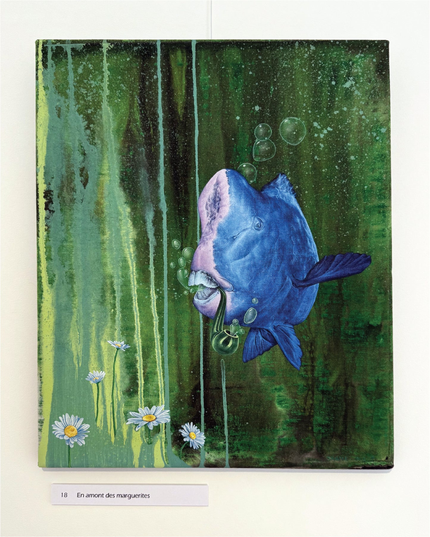 En amont des marguerites