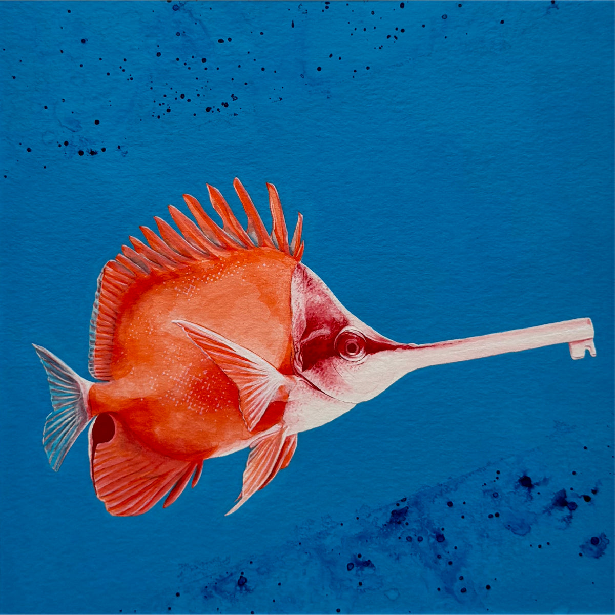 Poisson-clé