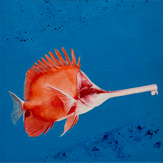 Poisson-clé