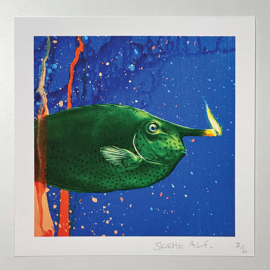 Poisson licorne