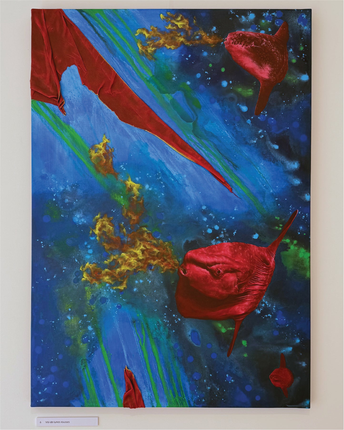 Vol de lunes rousses