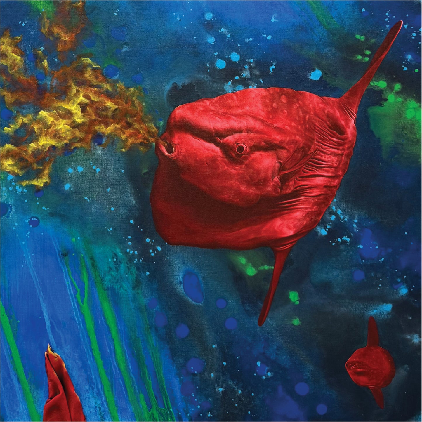 Vol de lunes rousses